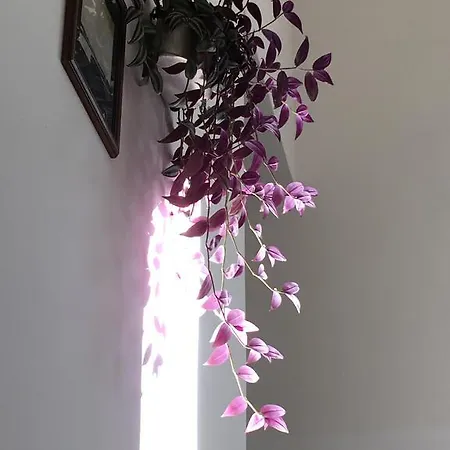 Casa Bianca Hotel Malcesine